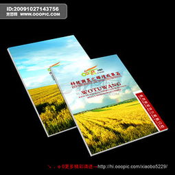 专业PSD建筑陶瓷行业画册设计 素材、模板与广告设计要点